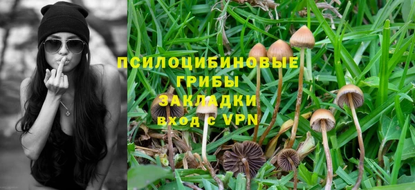прущая мука Новокубанск