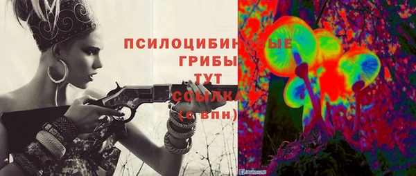 прущие крисы Новодвинск