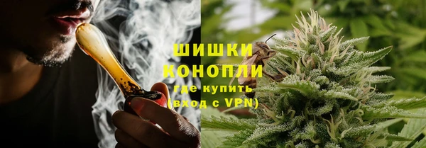 ГАЛЛЮЦИНОГЕННЫЕ ГРИБЫ Новозыбков