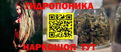 apvp Аргун