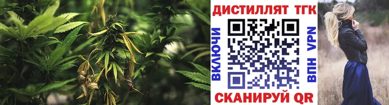 ТГК THC oil  даркнет сайт  Петропавловск-Камчатский 