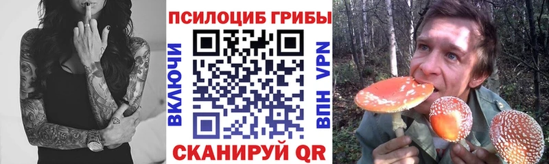 как найти закладки  kraken ССЫЛКА  Псилоцибиновые грибы Cubensis  Петропавловск-Камчатский 