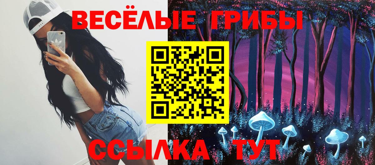 Галлюциногенные грибы GOLDEN TEACHER  Галлюциногенные грибы ЛСД  Вход с VPN  Петропавловск-Камчатский 
