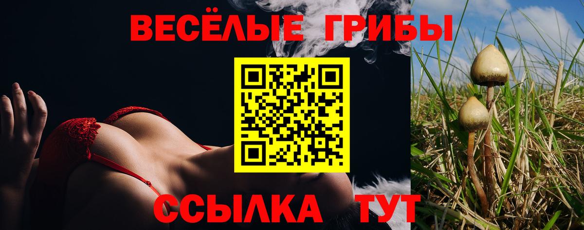 Галлюциногенные грибы мицелий Петропавловск-Камчатский